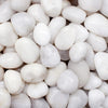 Pearl Stones Polished Pebbles - White