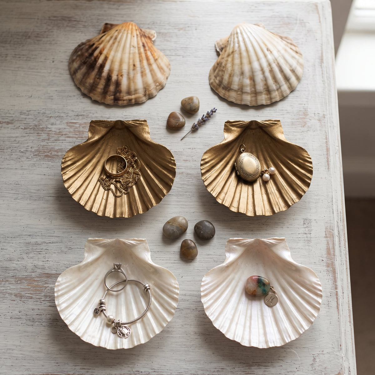 Natural Scallop Shells 10 x 11cm, Pack of 8, Large Seashells for Serving and DIY Crafts - SGI Online SGI Online
