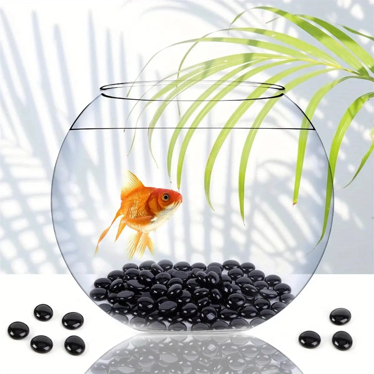 Goldfish swimming in a round fishbowl with STONED black glass pebbles at the bottom under green plant leaves SGI Online