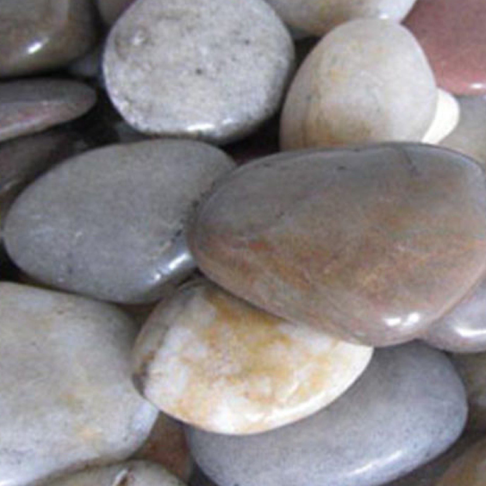 STONED polished river pebbles with smooth, rounded shapes and natural gray and beige tones